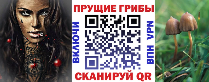 Псилоцибиновые грибы Magic Shrooms мориарти Telegram Апшеронск